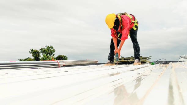 Best Chimney Flashing Repair  in Browns Mills, NJ
