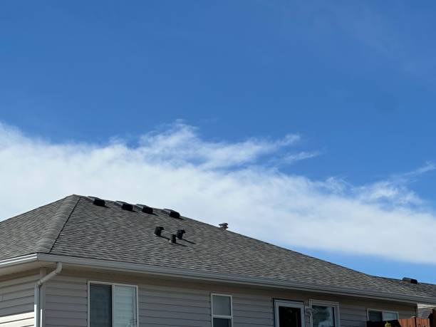 Best Skylight Installation and Repair  in Browns Mills, NJ